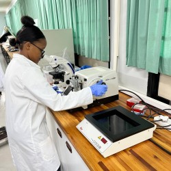 GROUNDBREAKING RESEARCH: FOOD WASTE SUBSTITUTION EFFECTS ON SPERMATOGENESIS